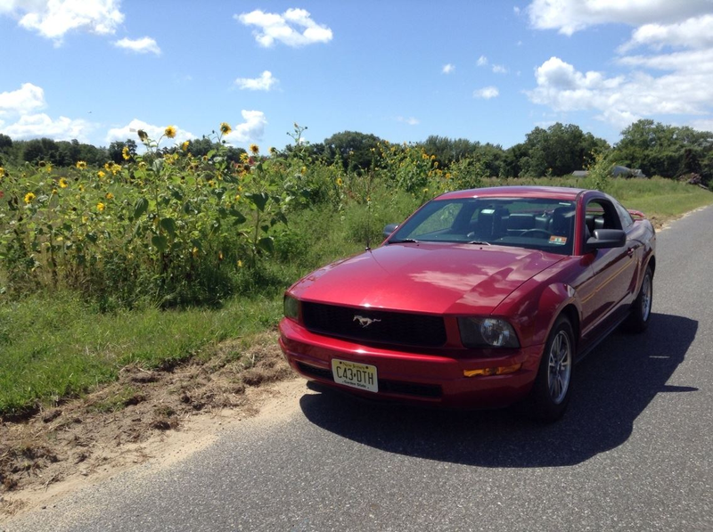 Illustration for article titled Let's post up pictures of all the Mustangs (and variants) I've had